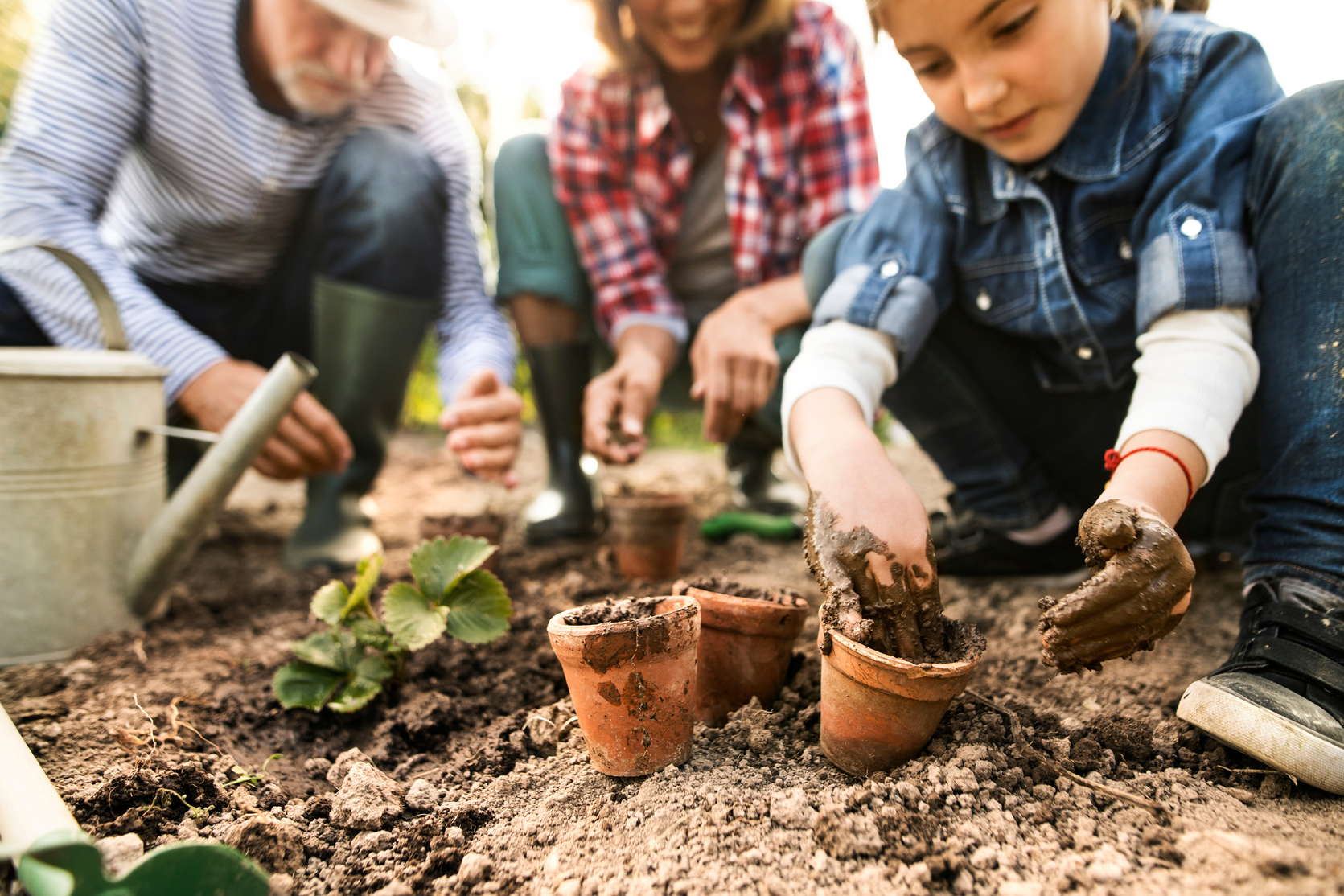 Senior Couple with Granddaughter Gardening in the Backyard Garden